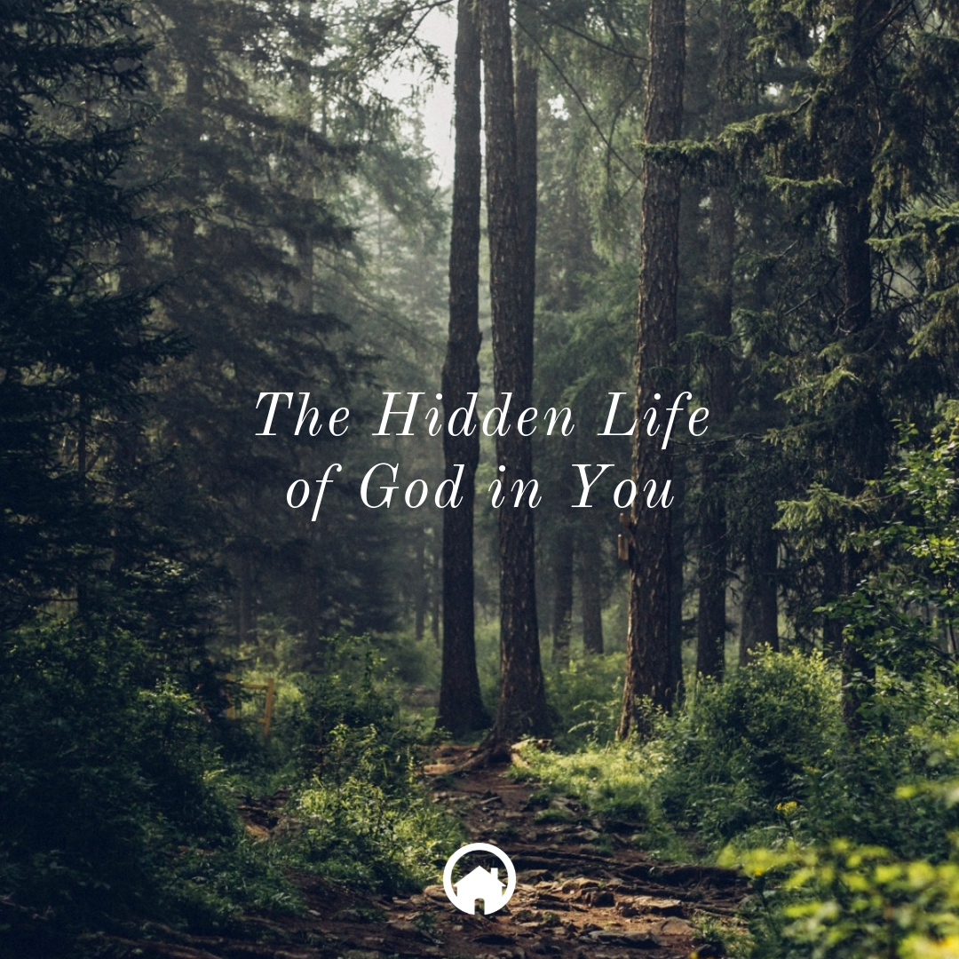 The Hidden Life of God in You